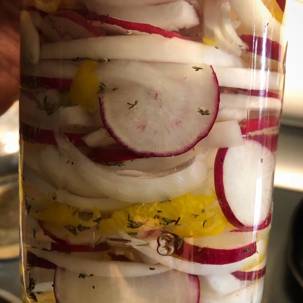 Radishes, garlic, onion, and lemon peel fermenting in a brine with thyme leaves. 